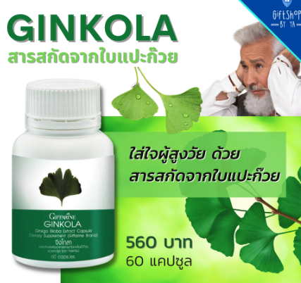 ใบแปะก๊วยสกัด จิงโกลา ใบแปะก๊วยแคปซูล Ginkola Giffarine Ginkgo